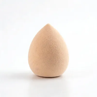 beauty sponge